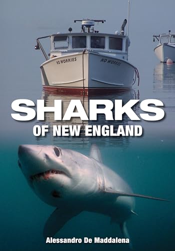 Imagen de archivo de Sharks of New England a la venta por Better World Books: West