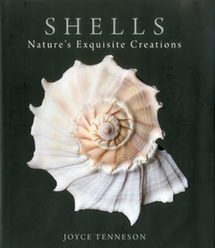 

Shells: Nature's Exquisite Creations (Hardback or Cased Book)