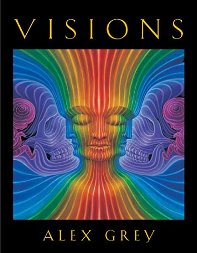 Stock image for Visions for sale by Bookmans