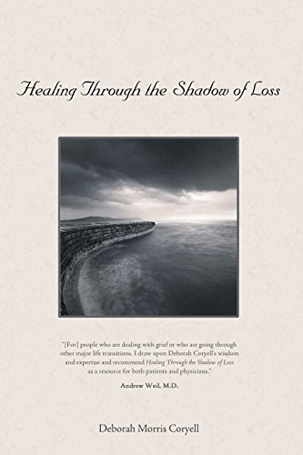 Beispielbild fr Healing Through the Shadow of Loss zum Verkauf von BooksRun