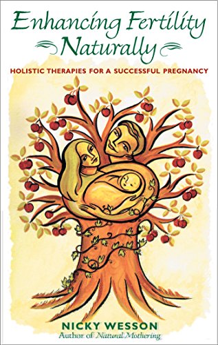 9780892818327: Enhancing Fetility Naturally: Holistic Therapies for a Successful Pregnancy