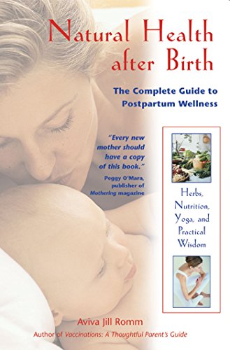 Beispielbild fr Natural Healing After Birth: The Complete Guide to Postpartum Wellness zum Verkauf von WorldofBooks