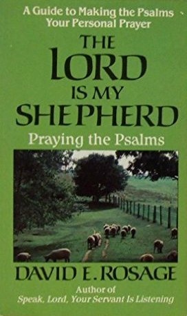 Beispielbild fr Lord is My Shepherd: Praying the Psalms zum Verkauf von WorldofBooks