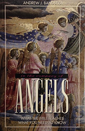 Imagen de archivo de In the Company of Angels : What the Bible Teaches. What You Need to Know a la venta por Better World Books