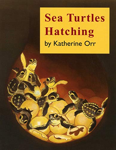 9780893170486: Sea Turtles Hatching
