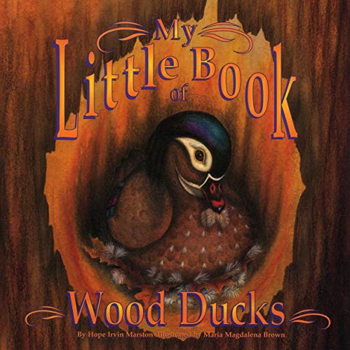 9780893170530: My Little Book of Wood Ducks (My Little Book Series)