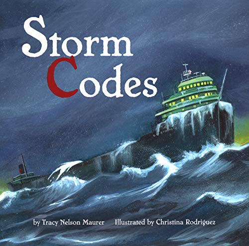 Beispielbild fr Storm Codes zum Verkauf von Better World Books