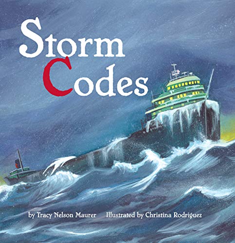 Beispielbild fr Storm Codes zum Verkauf von Better World Books