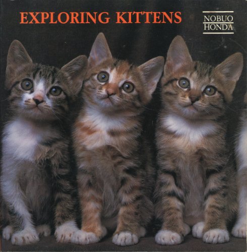 Imagen de archivo de Exploring Kittens a la venta por Half Price Books Inc.