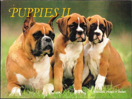 Puppies II