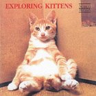 Stock image for Exploring Kittens for sale by Wonder Book