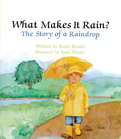 Stock image for What Makes It Rain? The Story of a Raindrop (Learn About Nature) for sale by SecondSale