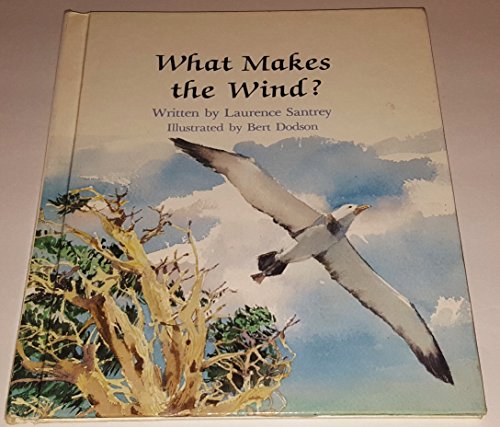 9780893755843: What Makes the Wind