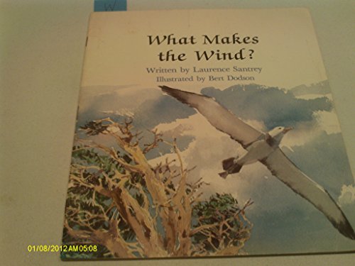 Beispielbild fr What Makes the Wind zum Verkauf von Wonder Book