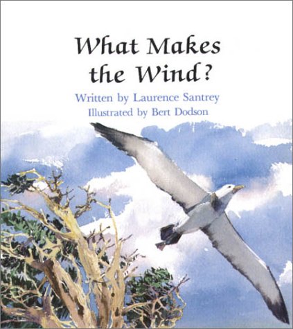 Stock image for What Makes the Wind for sale by SecondSale