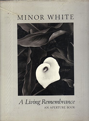 Minor White Living (9780893811617) by Whute, M