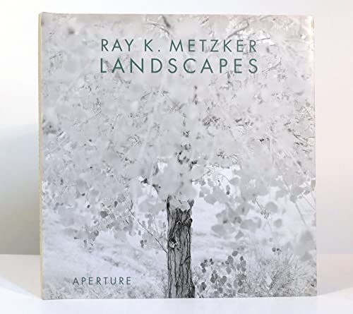 9780893819118: Ray K. Metzker: Landscapes (Aperture Monograph)