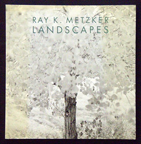 9780893819316: Ray K. Metzker: Landscapes