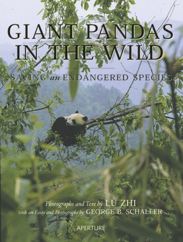 Imagen de archivo de Giant Pandas in the Wild: Saving an Endangered Species a la venta por Wonder Book