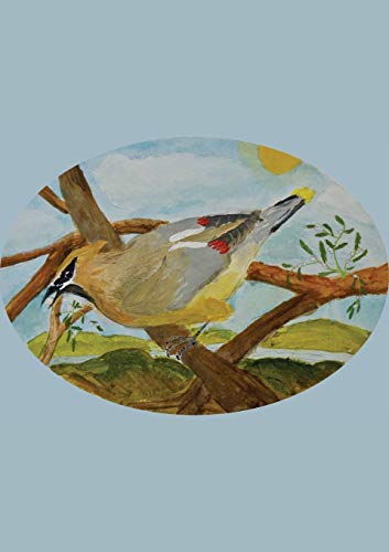Stock image for The Stone Soup Sketchbook small Sierra Glassman Cedar Waxwing unlined for sale by PBShop.store US