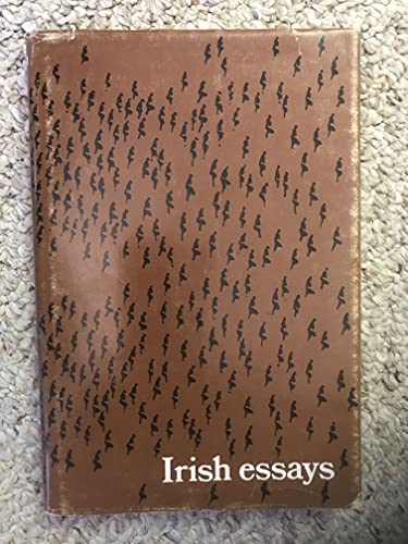 Beispielbild fr Irish essays zum Verkauf von Kennys Bookshop and Art Galleries Ltd.