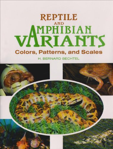 Reptile and Amphibian Variants: Colors, Patterns, and Scales