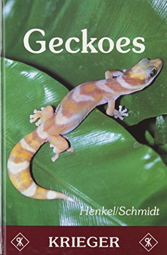 Stock image for Geckoes: Biology, Husbandry, and Reproduction for sale by BookResQ.