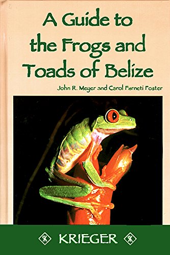 Stock image for Guide to the Frogs & Toads of Belize for sale by Powell's Bookstores Chicago, ABAA