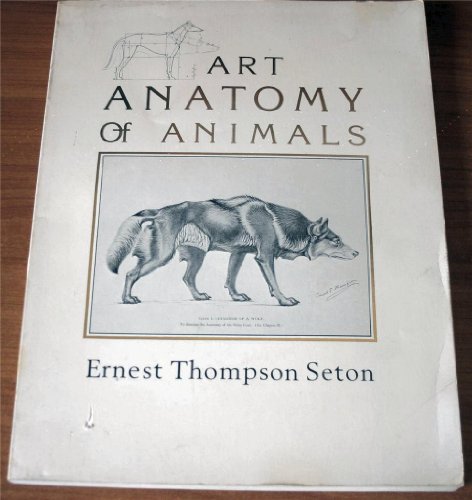9780894710049: Studies in the Art Anatomy of Animals: Being a Brief Analysis of the Visible Forms of the More Familiar Mammals and Birds, Designed for the Use of ... Illustrators, Naturalists, and Taxidermists
