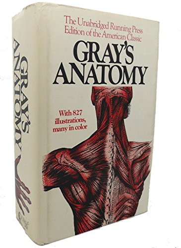 Stock image for Anatomy, Descriptive and Surgical for sale by ThriftBooks-Dallas