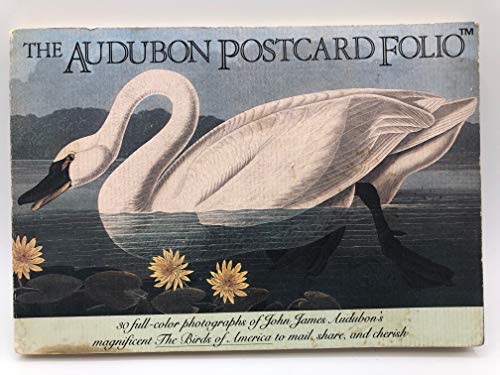 Beispielbild fr The Audubon Postcard Folio zum Verkauf von Better World Books