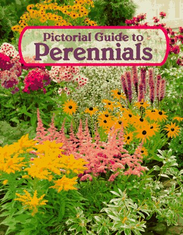 Stock image for Pictorial Guide To Perennials for sale by Terrace Horticultural Books