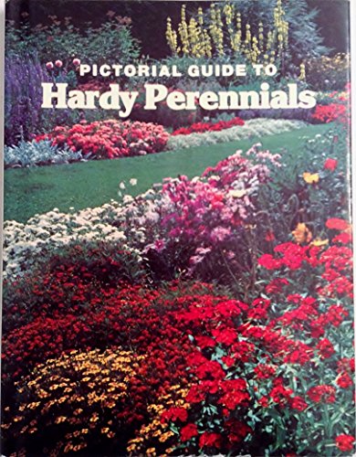 Stock image for Pictorial Guide to Hardy Perennials for sale by HPB Inc.