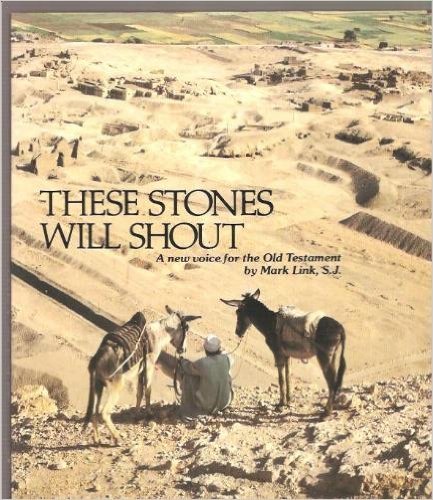 Beispielbild fr These Stones Will Shout: A New Voice for the Old Testament zum Verkauf von BooksRun