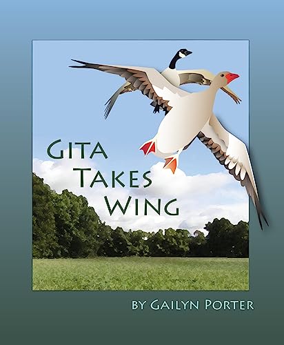 Imagen de archivo de Gita Takes Wing a la venta por Kennys Bookshop and Art Galleries Ltd.