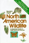 9780895771025: Readers Digest North American Wildlife