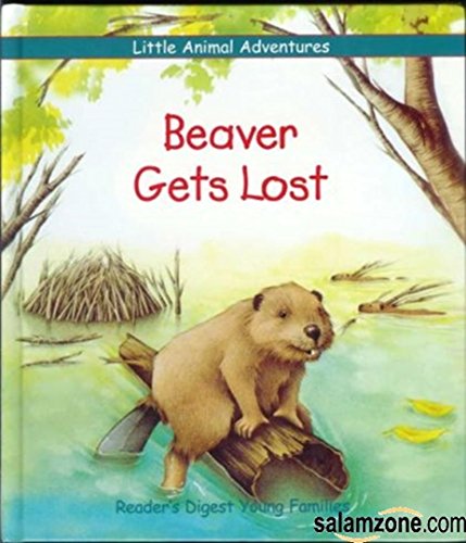 Imagen de archivo de Beaver Gets Lost (Little Animal Adventures) a la venta por Gulf Coast Books