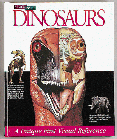 9780895776891: Dinosaurs (A Look Inside)