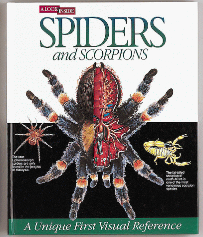 Imagen de archivo de A Look Inside Spiders and Scor a la venta por SecondSale
