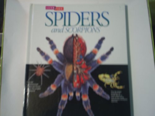 9780895778000: Spiders and Scorpions (A Look Inside)