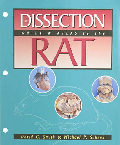 Stock image for Dissection Guide & Atlas to the Rat for sale by SecondSale