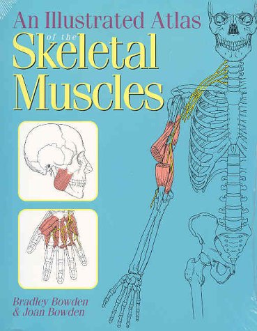 Beispielbild fr An Illustrated Atlas of the Skeletal Muscles zum Verkauf von Better World Books