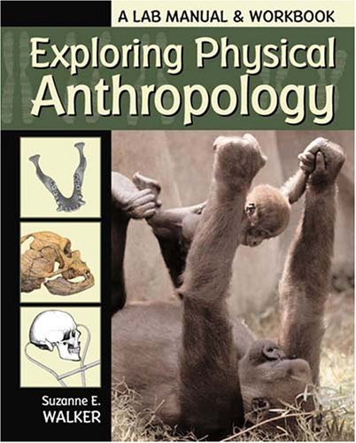 Stock image for Exploring Physical Anthropology (A Lab Manual & Workbook) for sale by SecondSale