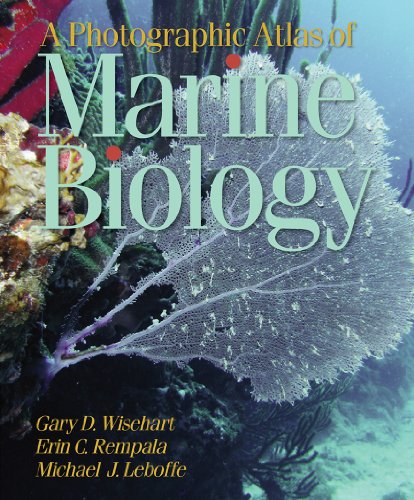 Imagen de archivo de A Photographic Atlas of Marine Biology a la venta por Front Cover Books