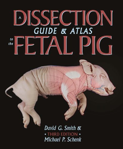 Stock image for A Dissection Guide and Atlas to the Fetal Pig for sale by HPB-Red