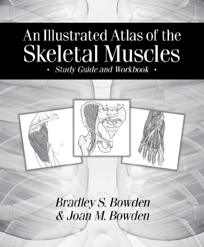 Stock image for An Illustrated Atlas of the Skeletal Muscles : Study Guide and Workbook for sale by Better World Books