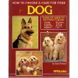 Stock image for How to Choose & Care for Your Dog for sale by Wonder Book