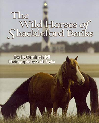 Imagen de archivo de Wild Horses of Shackleford Banks a la venta por Better World Books