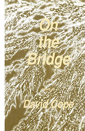 Beispielbild fr On the Bridge zum Verkauf von Books Puddle