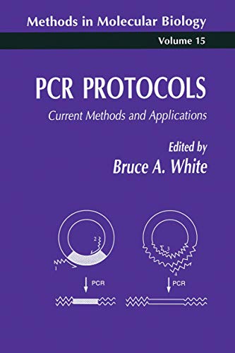 Stock image for PCR Protocols: Current Methods and Applications for sale by ThriftBooks-Atlanta